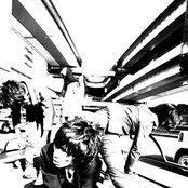 Lillies And Remains - List pictures