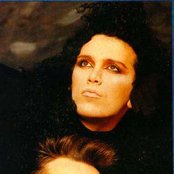 Dead Or Alive - List pictures