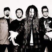 Sub-urban Tribe - List pictures