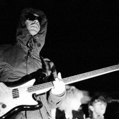 Fool's Gold - List pictures