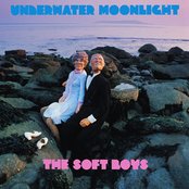 Soft Boys - List pictures