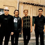 Bush - List pictures