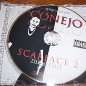 Conejo - List pictures