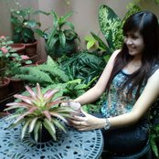 Geisha - List pictures