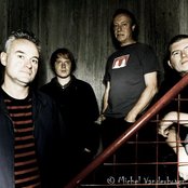 Red Snapper - List pictures