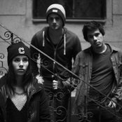 Paperdeer - List pictures