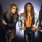 White Lion - List pictures