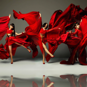 Perfume - List pictures