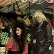 The Gun Club - List pictures