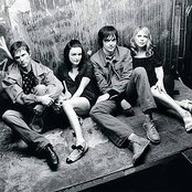 Veruca Salt - List pictures