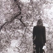 Nick Drake - List pictures