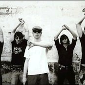 Beatsteaks - List pictures