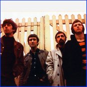 John Mayall And The Bluesbreakers - List pictures