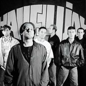 Happy Mondays - List pictures