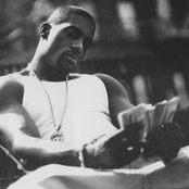 Loon - List pictures