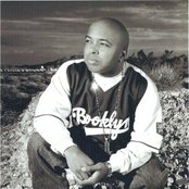 Domino - List pictures