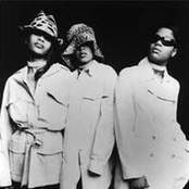 Total - List pictures