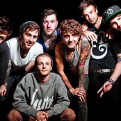 Violet - List pictures