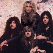 White Lion - List pictures
