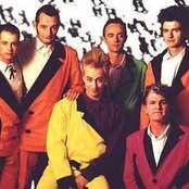 Split Enz - List pictures
