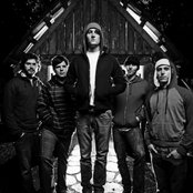 Kaddisfly - List pictures