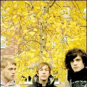 The Fall Of Troy - List pictures