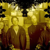 Kong - List pictures