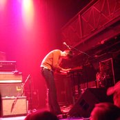 Miniature Tigers - List pictures