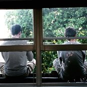 Plastic Flowers - List pictures