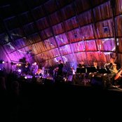 Green Carnation - List pictures