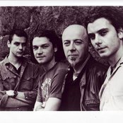 Bush - List pictures