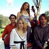 Hayley Taylor - List pictures