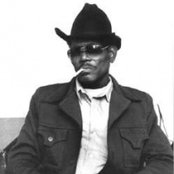 Big Walter Horton - List pictures