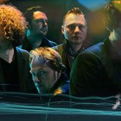 Weeping Willows - List pictures