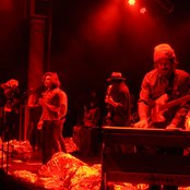 The Growlers - List pictures