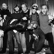 Dwarves - List pictures