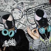 The Bloody Beetroots - List pictures