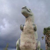 Folly - List pictures