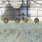 The Shins - List pictures