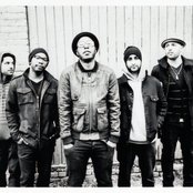 Bad Rabbits - List pictures