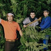 Trans Am - List pictures