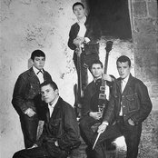 The Animals - List pictures