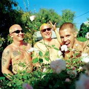 Sublime - List pictures
