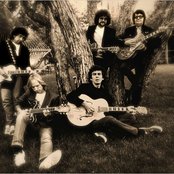 Traveling Wilburys - List pictures