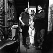 Eleventh Dream Day - List pictures