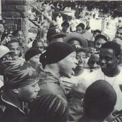 Onyx - List pictures