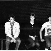 Chameleons - List pictures