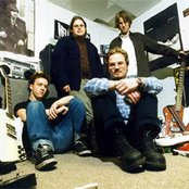 Dozer - List pictures