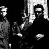 Bourbonese Qualk - List pictures