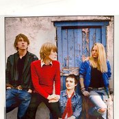 Babyshambles - List pictures